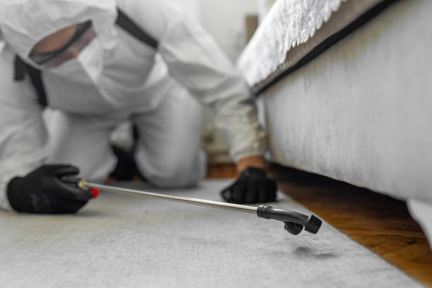 Professional Termite Control technician working in Shell Lake, WI