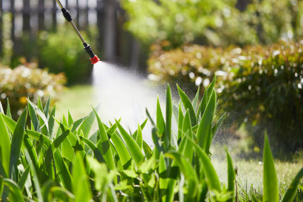 24/7 Emergency Termite Control experts in Shell Lake, WI