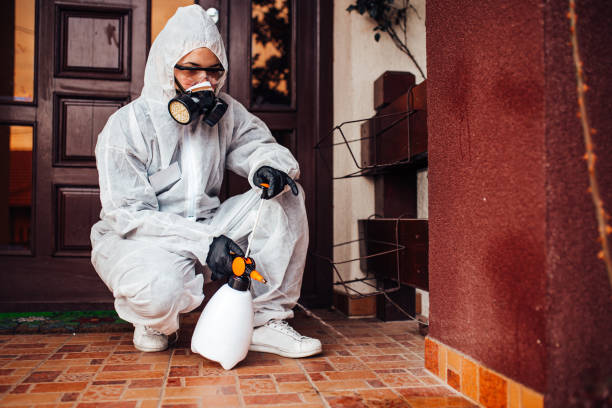 Reliable Termite Control contractor in Shell Lake, WI by Nex Pest Control