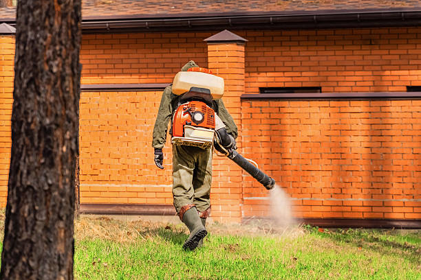 Top rated local Termite Control specialists in Shell Lake, WI